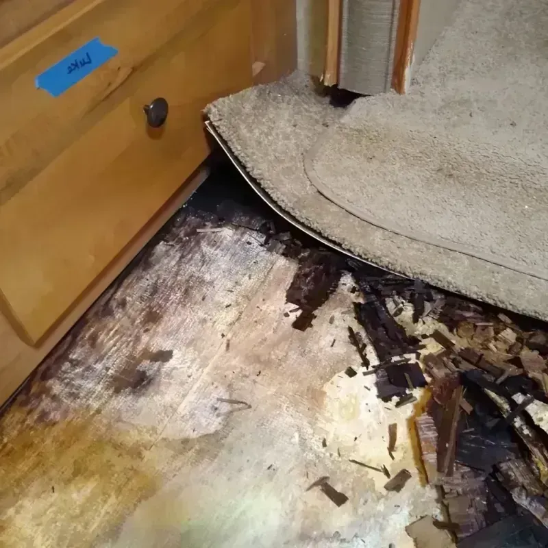 Wood Floor Water Damage in Smith Valley, NV